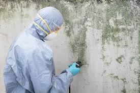 Trusted Harrington Park, NJ Mold Removal Services Experts